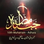 Ashura Status for WhatsApp